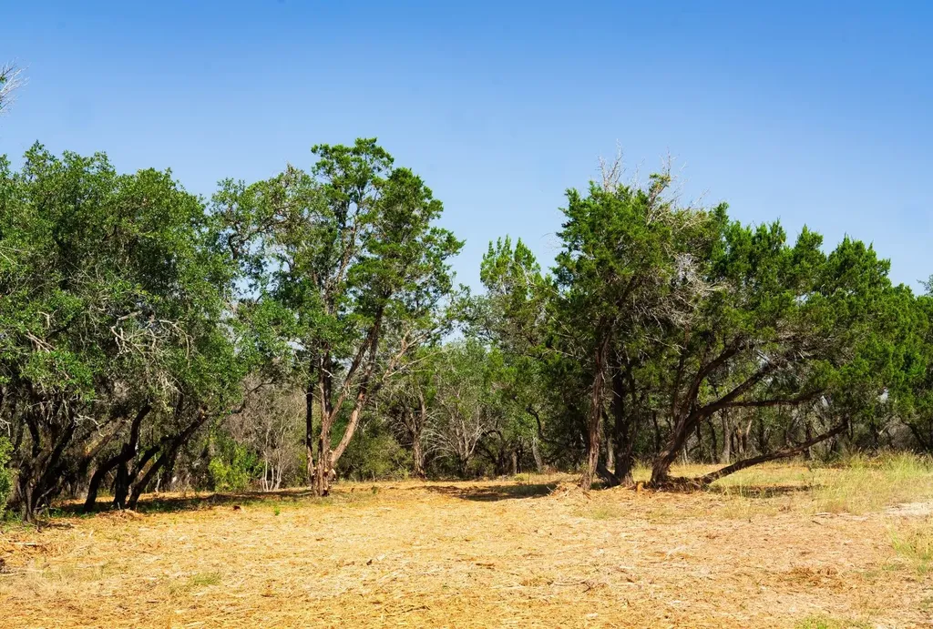 0 Old Ferry Road Spicewood TX 78669