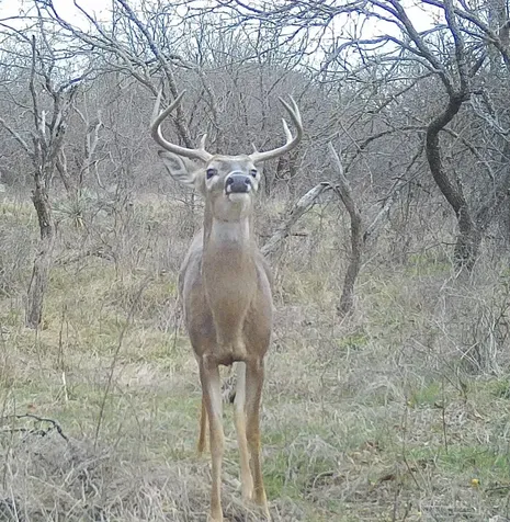 14725 Highway 183 N May TX 76857