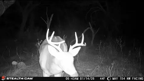 14725 Highway 183 N May TX 76857