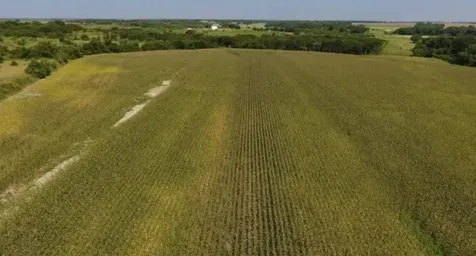 764 Hcr 3422 County Road 3422 Bynum TX 76631