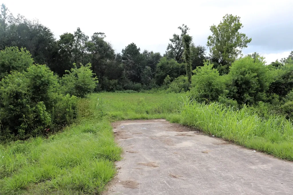 2.8 Ac Highway 90 Devers TX 77575
