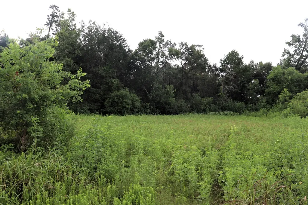 2.8 Ac Highway 90 Devers TX 77575