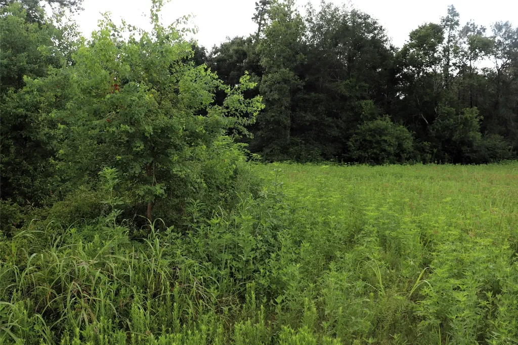 2.8 Ac Highway 90 Devers TX 77575