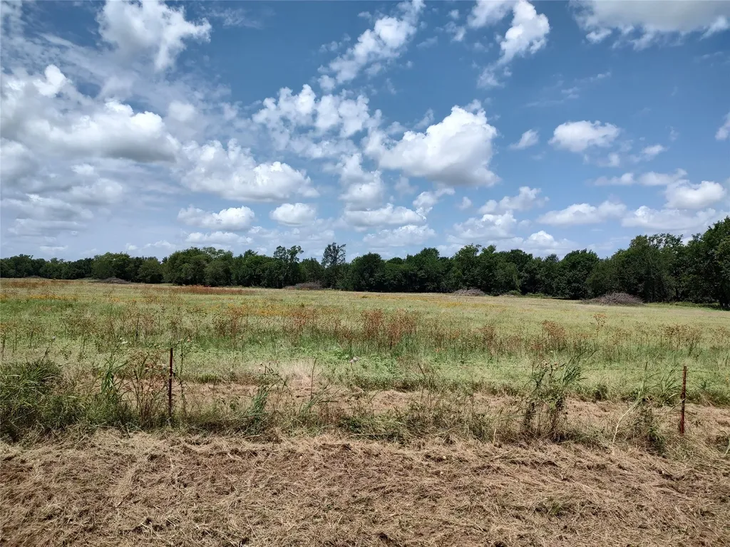 Tbd County Road 1119 Brashear TX 75420