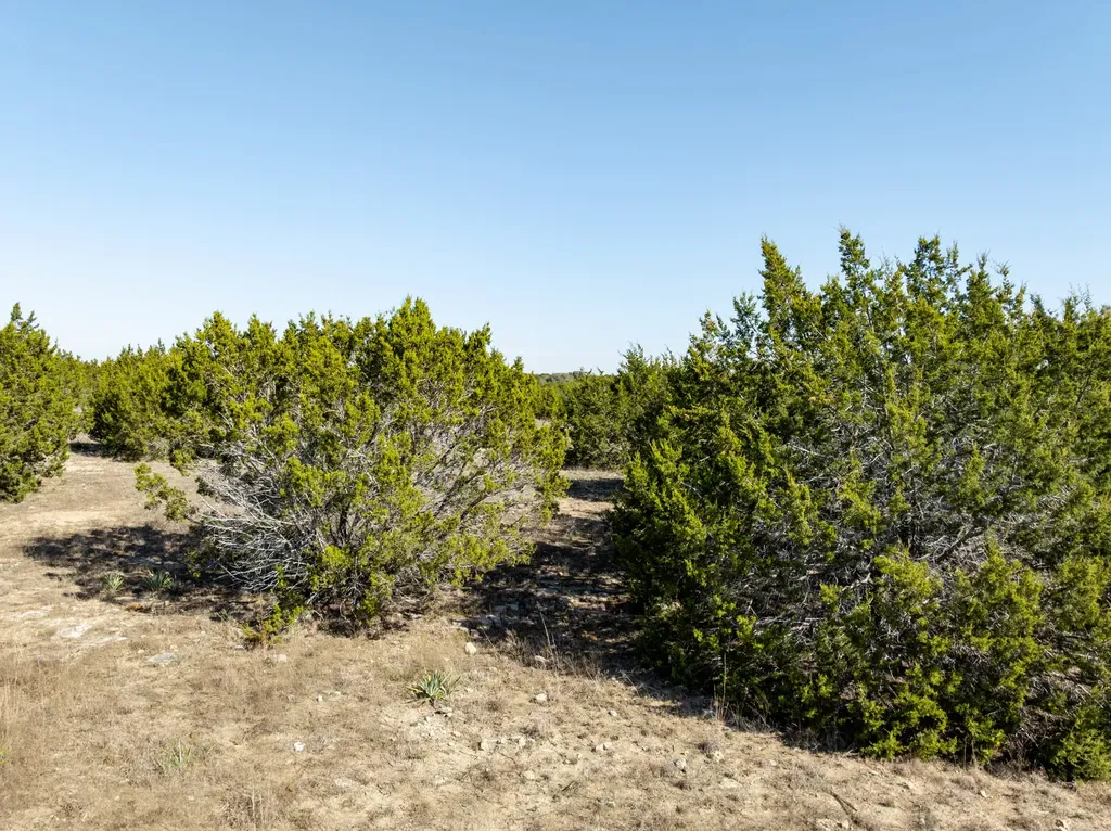 1141 Pitchfork Ranch Road Copperas Cove TX 76522