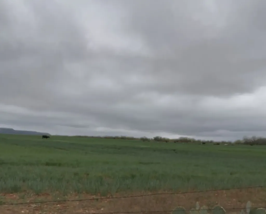 Tbd Fm-1770 Winters TX 79567