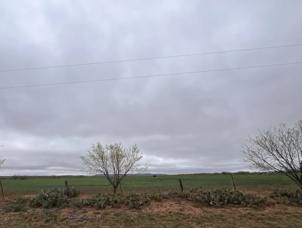 Tbd Fm-1770 Winters TX 79567