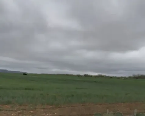 Tbd Fm-1770 Winters TX 79567