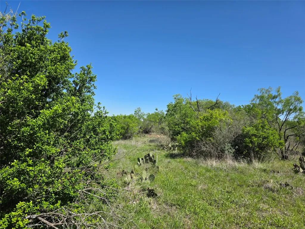 10315 Fm 45 Richland Springs TX 76872