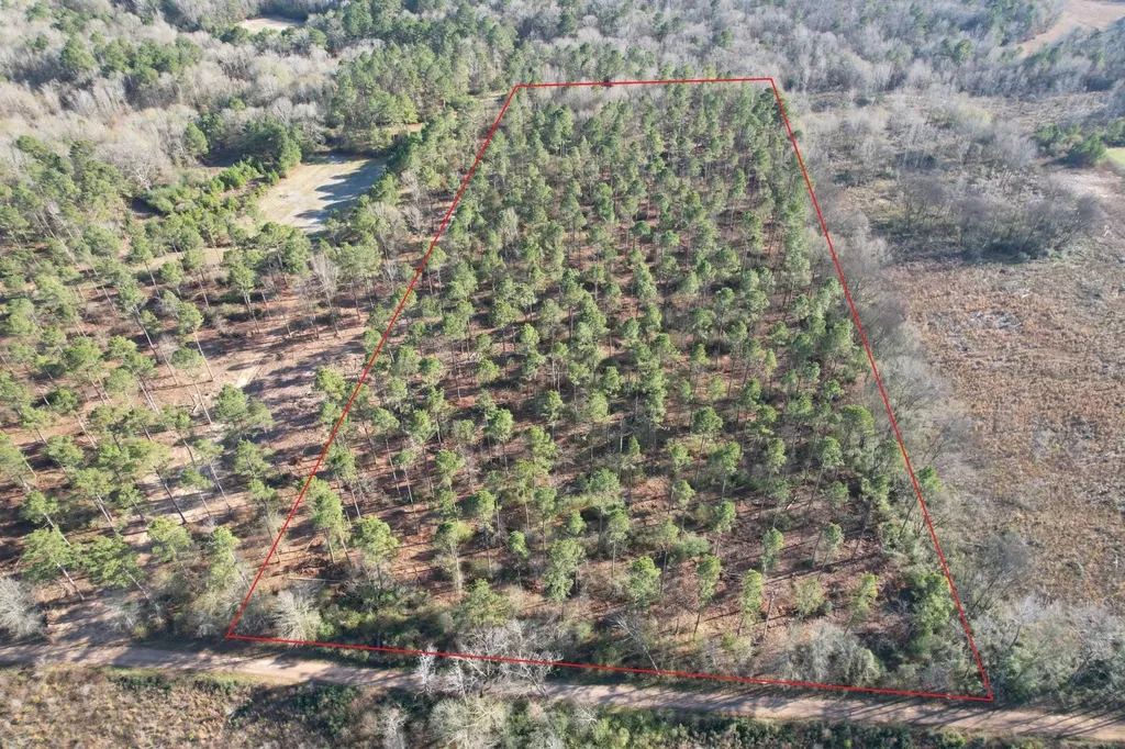 Tbd-a County Road 216 Beckville TX 75631