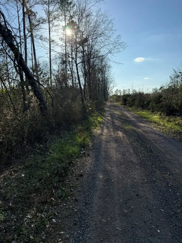 Tbd-a County Road 216 Beckville TX 75631