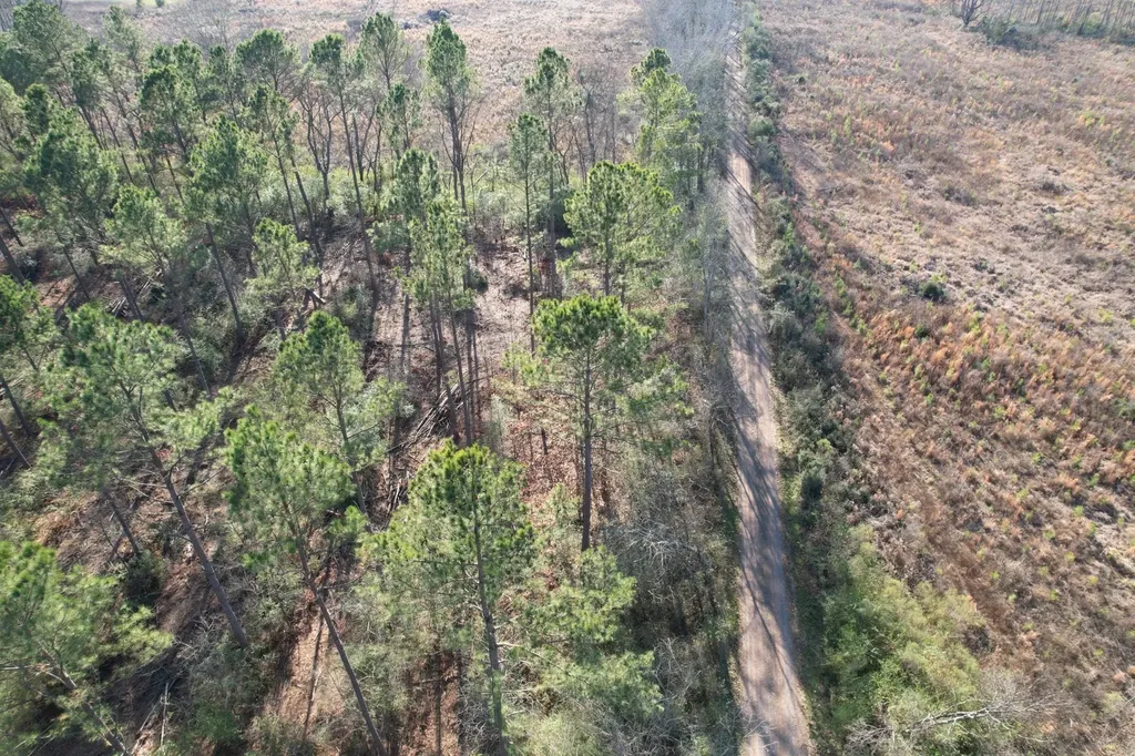 Tbd-a County Road 216 Beckville TX 75631