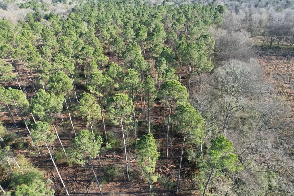 Tbd-a County Road 216 Beckville TX 75631