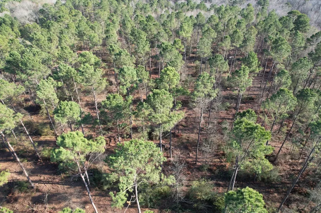 Tbd-a County Road 216 Beckville TX 75631