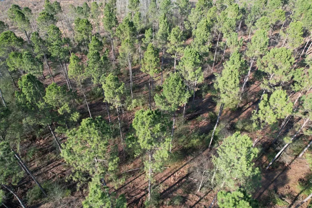 Tbd-a County Road 216 Beckville TX 75631