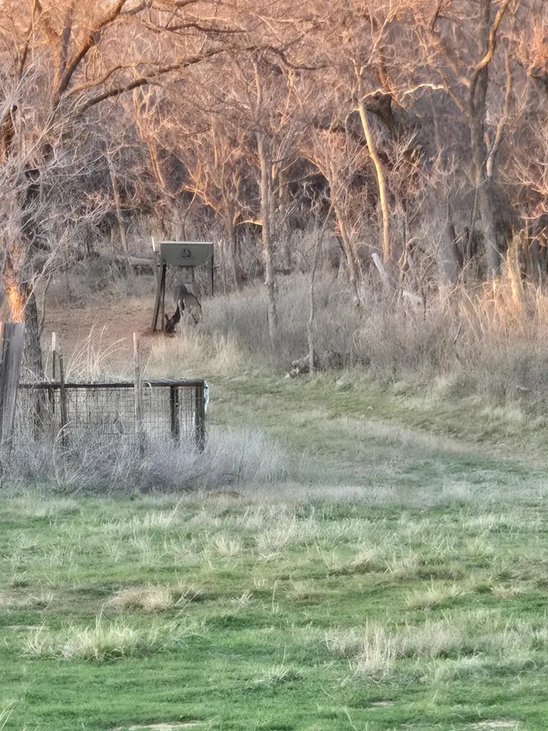 Tbd Cr 148 Rule TX 79547