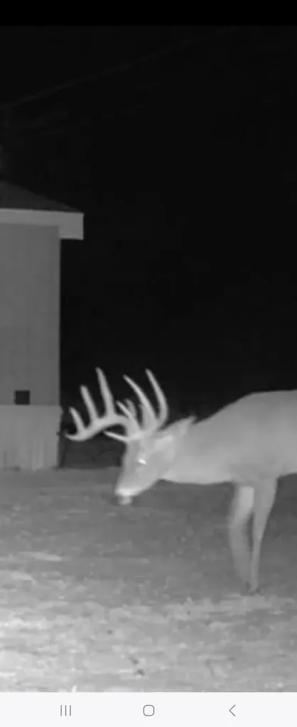 Tbd Cr 148 Rule TX 79547