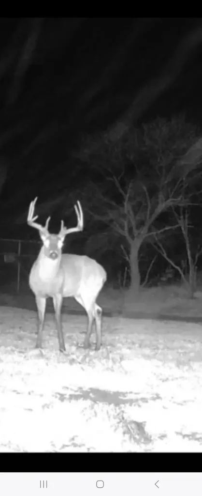 Tbd Cr 148 Rule TX 79547