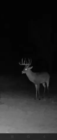 Tbd Cr 148 Rule TX 79547