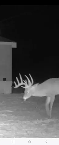 Tbd Cr 148 Rule TX 79547