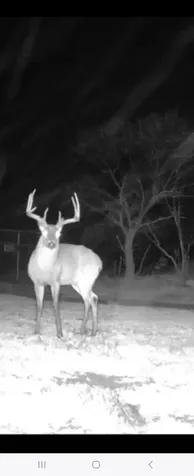 Tbd Cr 148 Rule TX 79547