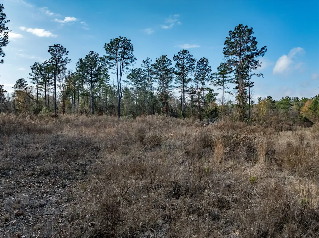 Tbd Tom Woodley Road Marshall TX 75672