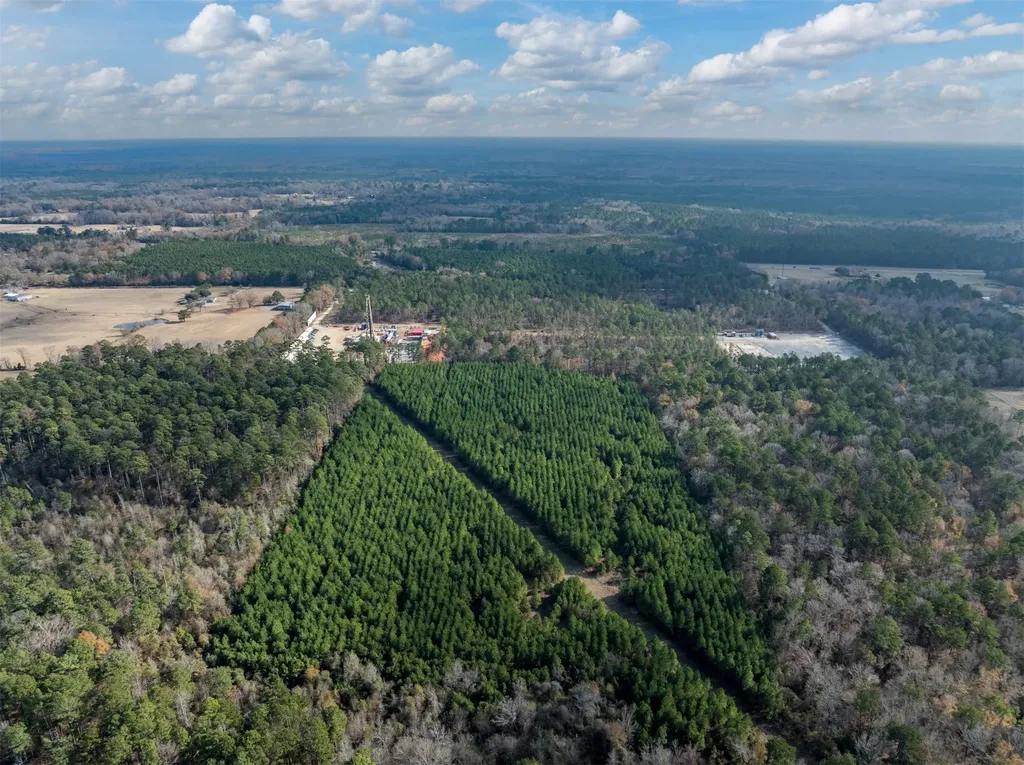 Tbd Tom Woodley Road Marshall TX 75672