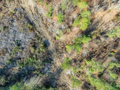 Tbd Tom Woodley Road Marshall TX 75672
