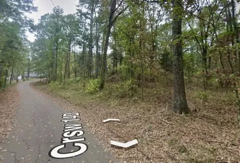 N/a Lot 59 County Road 2938 Pittsburg TX 75686