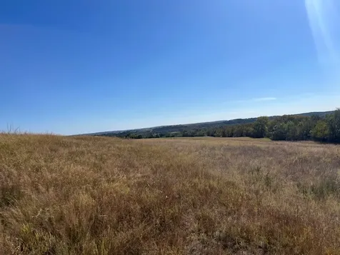 8901 Edwards Road Bluff Dale TX 76433