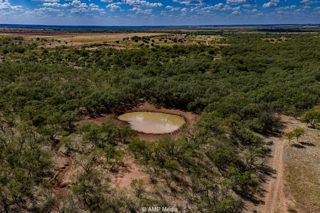 4538 County Road 463 Rule TX 79547