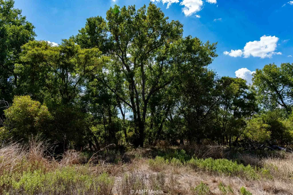 4538 County Road 463 Rule TX 79547