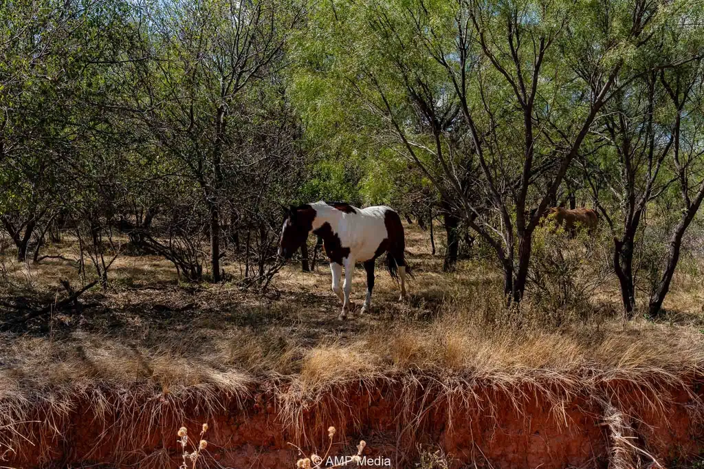 4538 County Road 463 Rule TX 79547