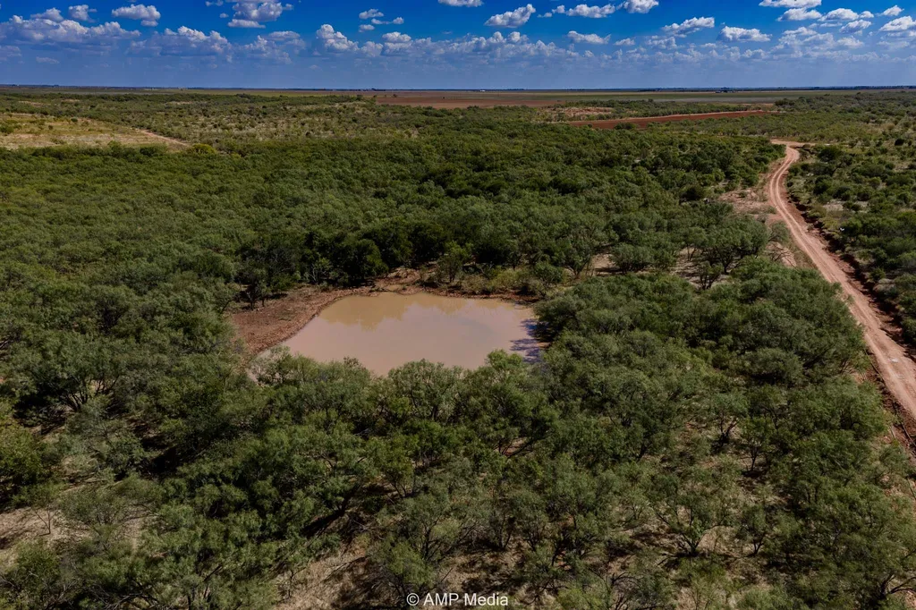 4538 County Road 463 Rule TX 79547