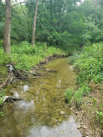 53.9 Acres Highway 82 Muenster TX 76252