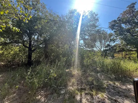 00 Pinewood Drive Hawk Cove TX 75474