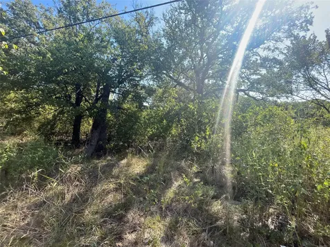 00 Pinewood Drive Hawk Cove TX 75474