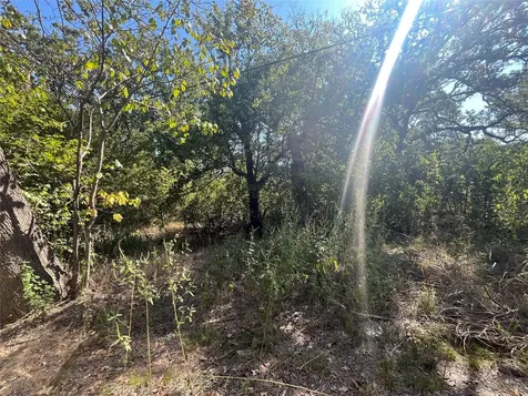 00 Pinewood Drive Hawk Cove TX 75474