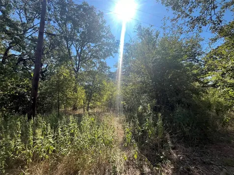 00 Pinewood Drive Hawk Cove TX 75474