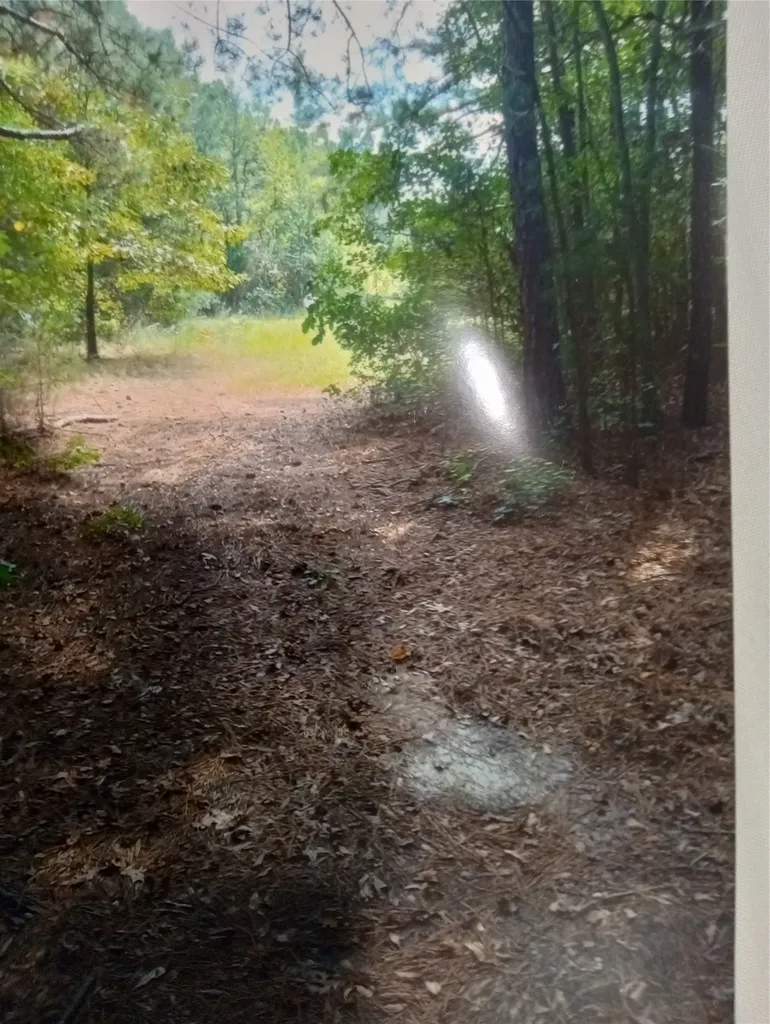 165 County Road 2613 Marietta TX 75566