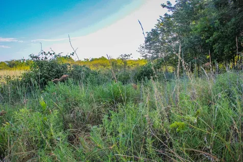 Tbd Gilbert Road Nocona TX 76255