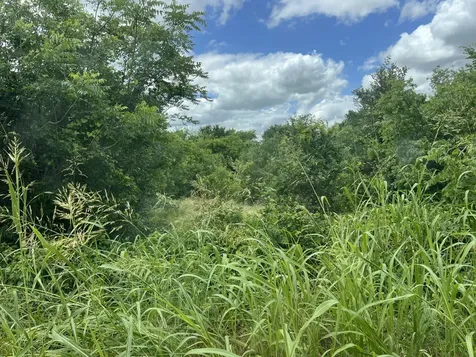 Hcr 4365 Milford TX 76670