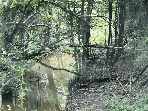 Hcr 4365 Milford TX 76670