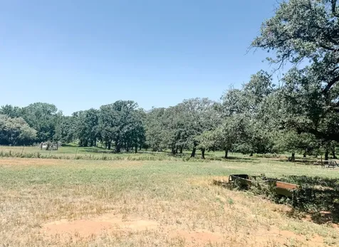 13610 Highway 183 Rising Star TX 76471