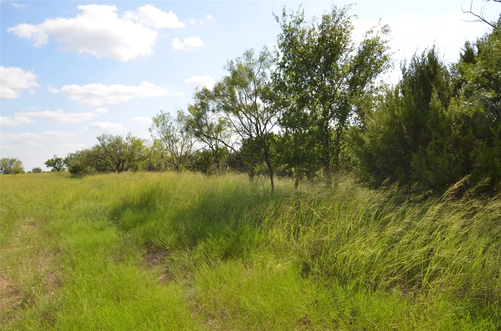Tbd Cr 212 Wingate TX 79566