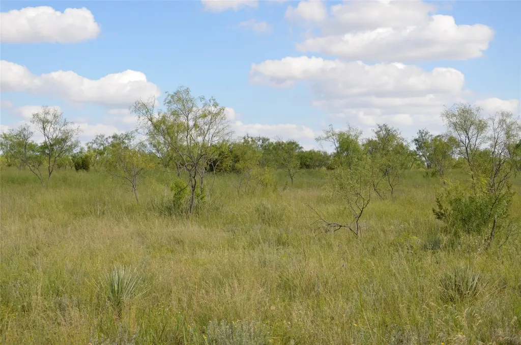 Tbd Cr 212 Wingate TX 79566