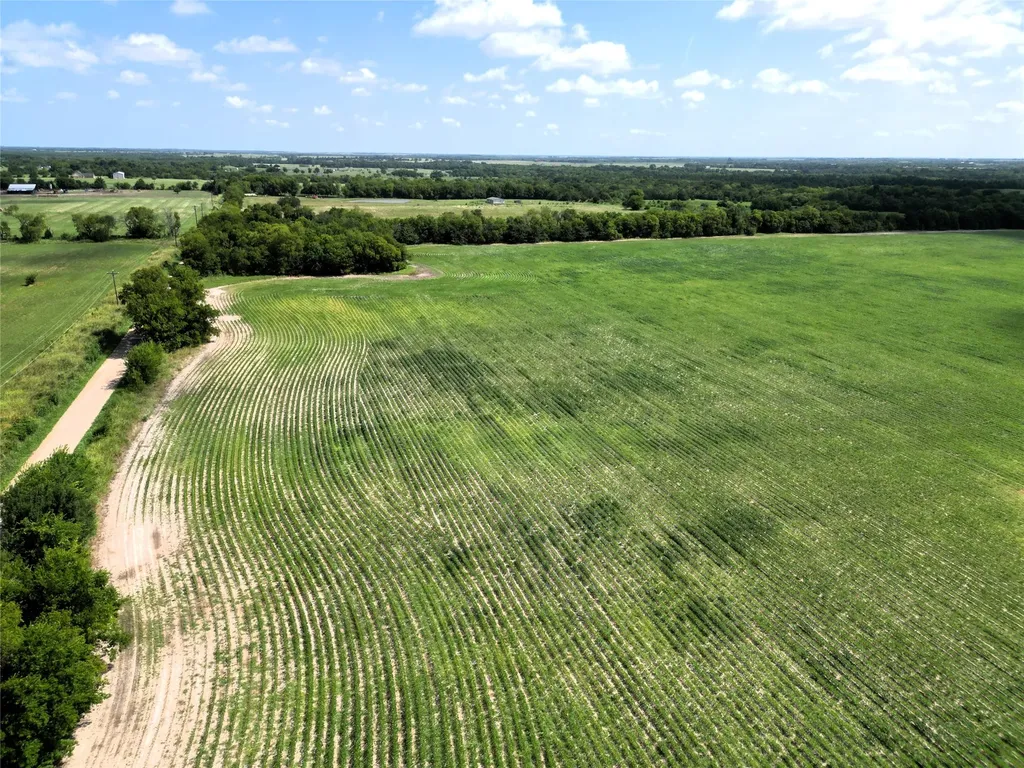 48AC Cr 2165 Klondike TX 75440