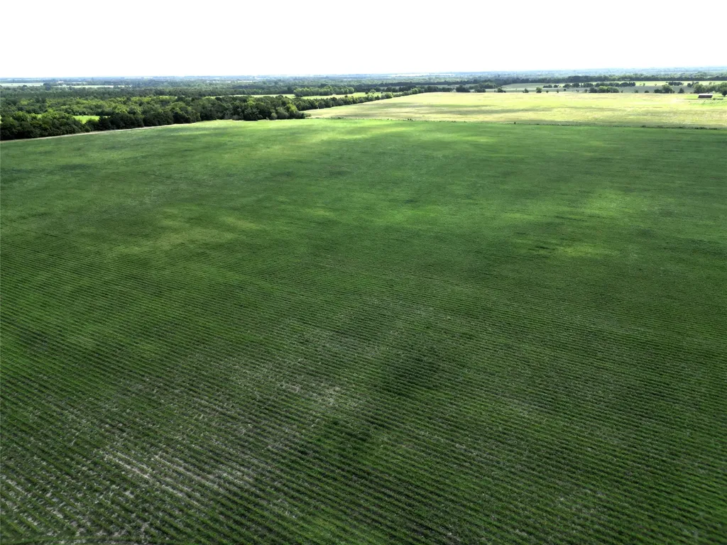 48AC Cr 2165 Klondike TX 75440