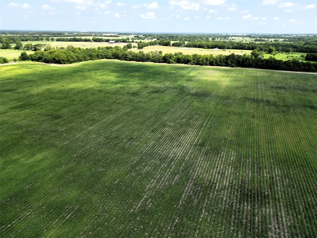 48AC Cr 2165 Klondike TX 75440