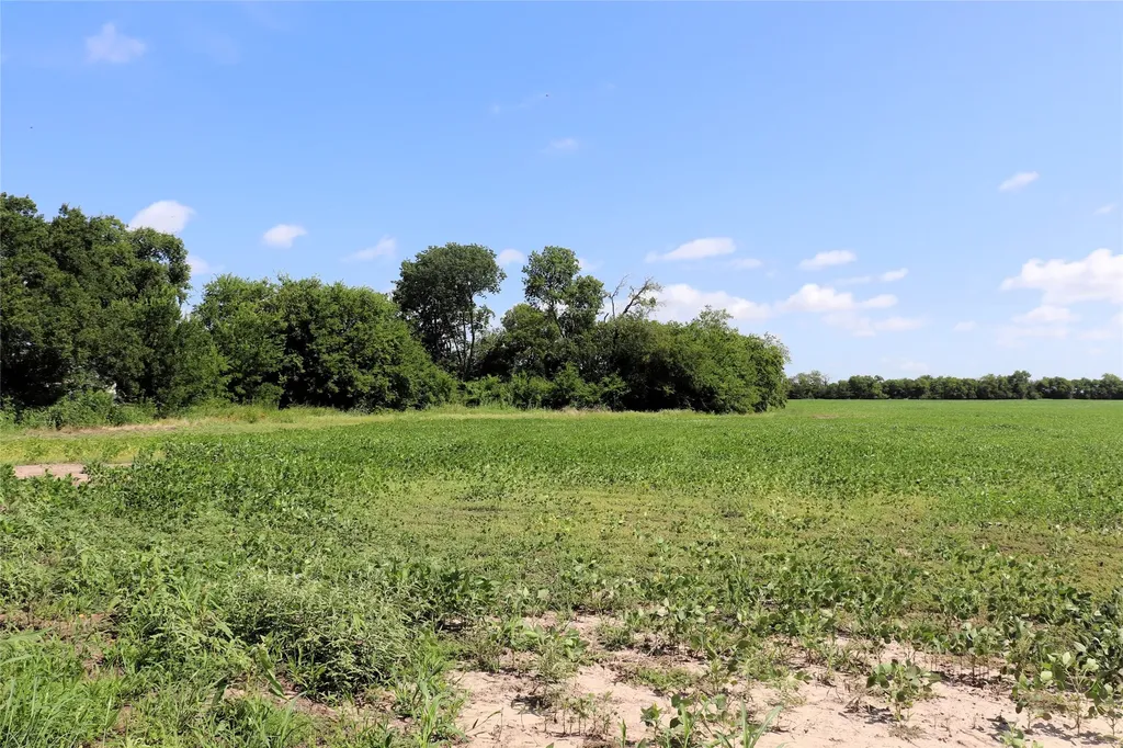 48AC Cr 2165 Klondike TX 75440